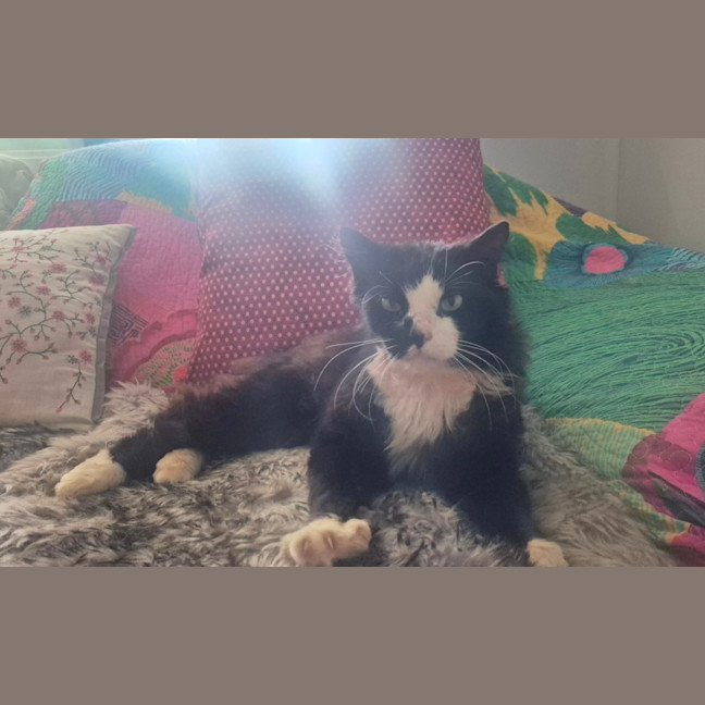 Photo of Cain (0004)