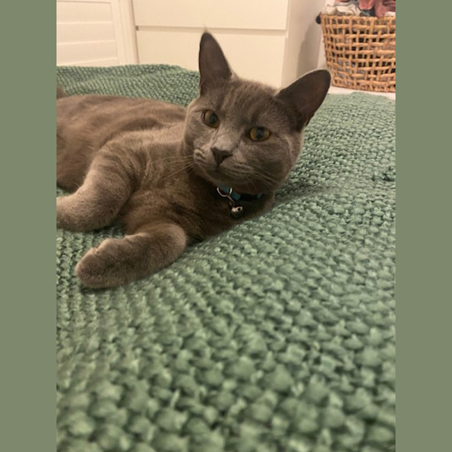 Photo of Jack