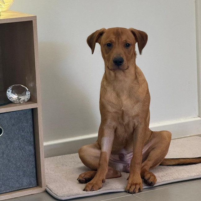 Photo of Ajax