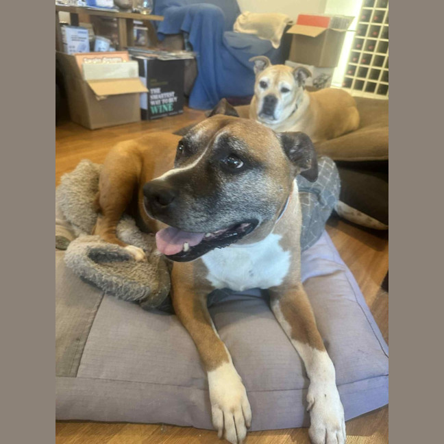 Photo of Zeus 
