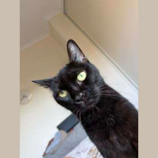 Photo of Penny