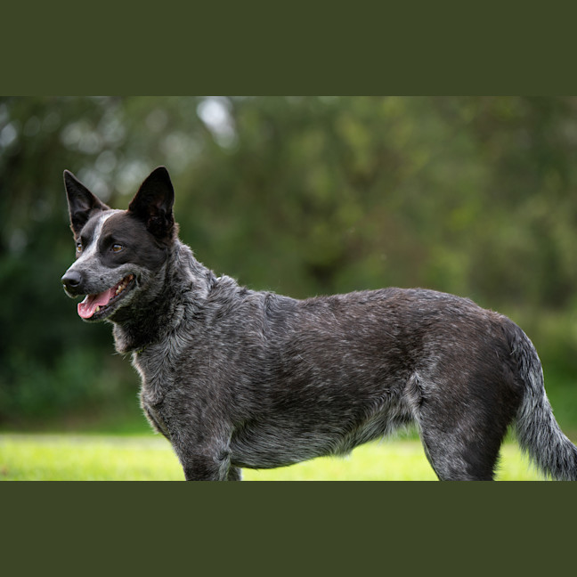 Photo of Tia