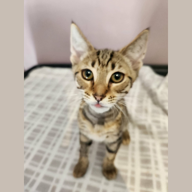 Photo of Andy   On Display @ Vets On Parker