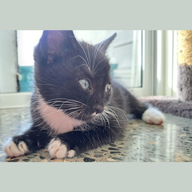 Photo of C1399 Clark