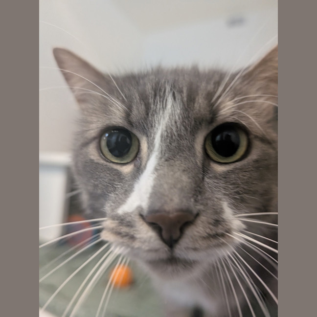 Photo of Sparkle