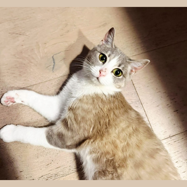 Photo of Thumbelina