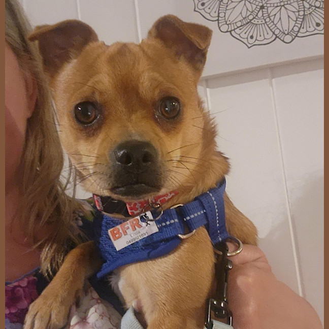 Photo of Boots 