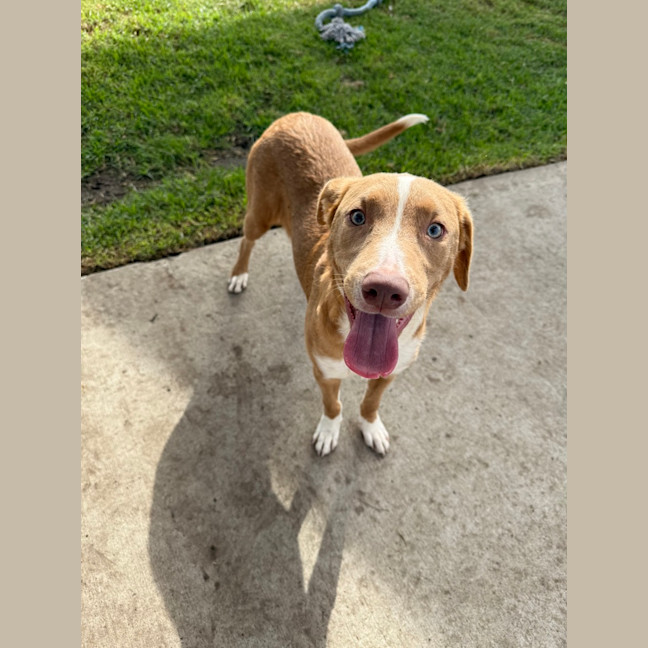 Photo of Luna