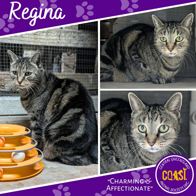 Photo of Regina
