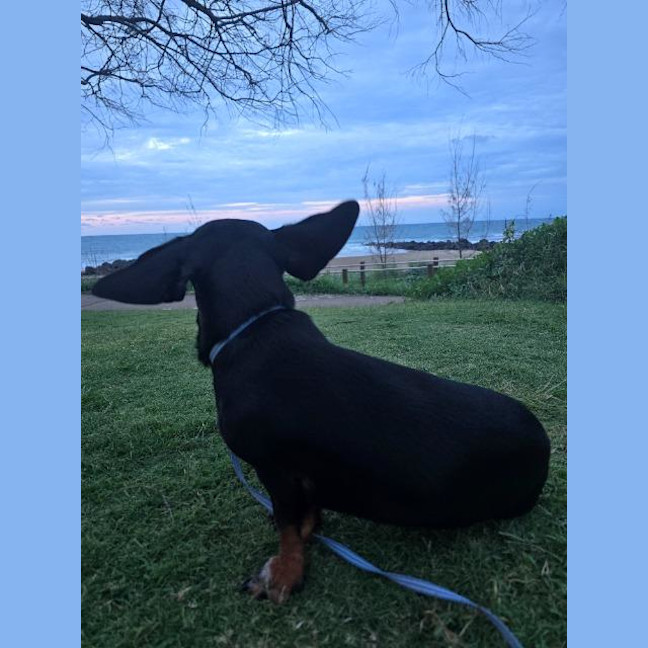 Photo of Kevin
