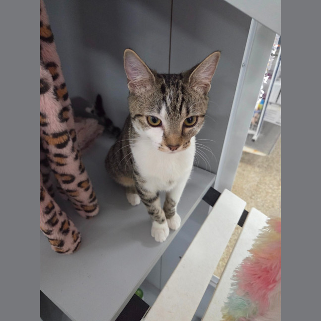 Photo of Martha   Loves Children