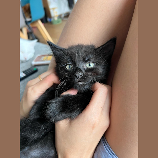Photo of Clementine