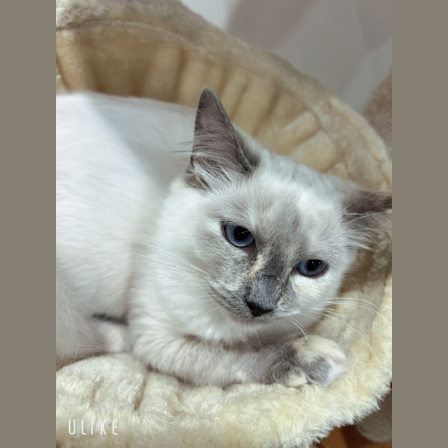 Photo of Elsa