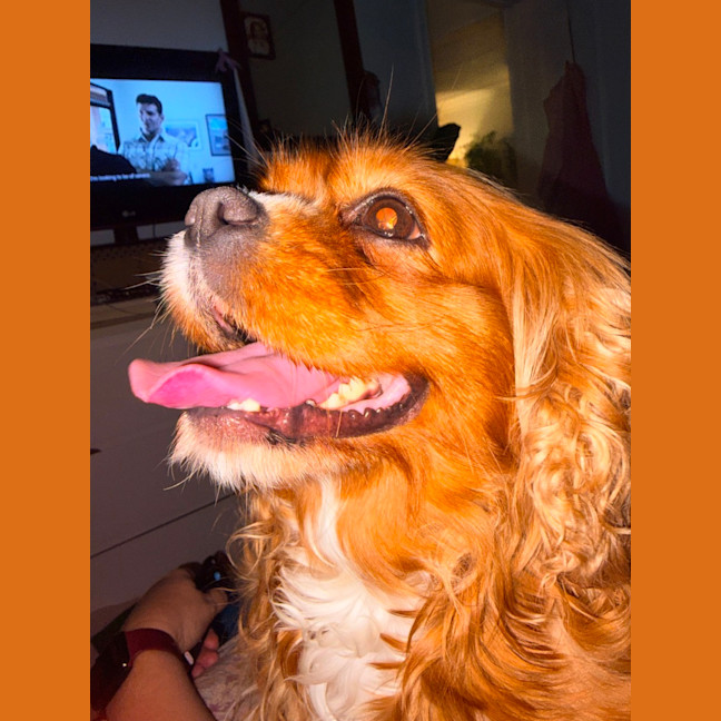 Photo of Polly