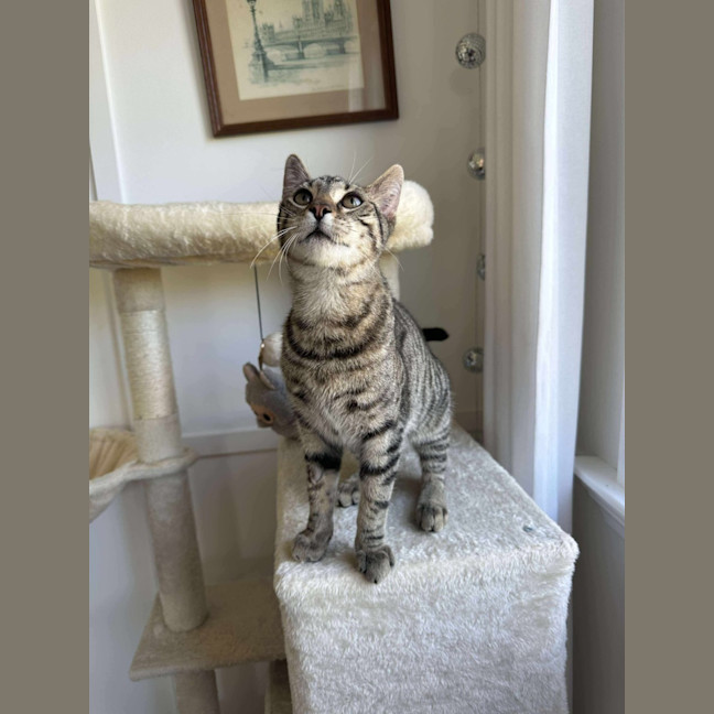 Photo of Jasper