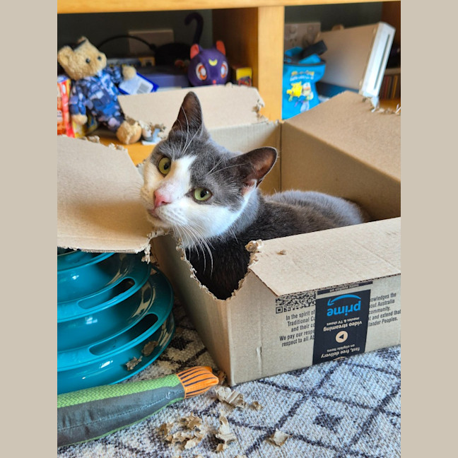 Photo of Stu / Sophie