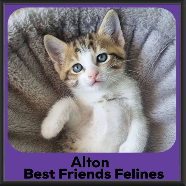 Photo of Alton 