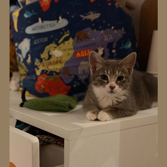 Photo of Pocket