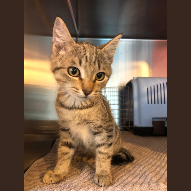 Photo of Leroy
