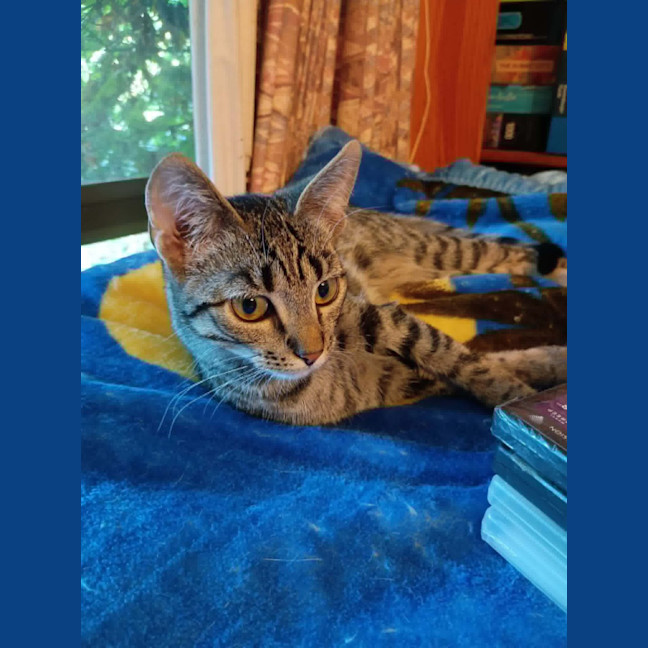 Photo of Shira 