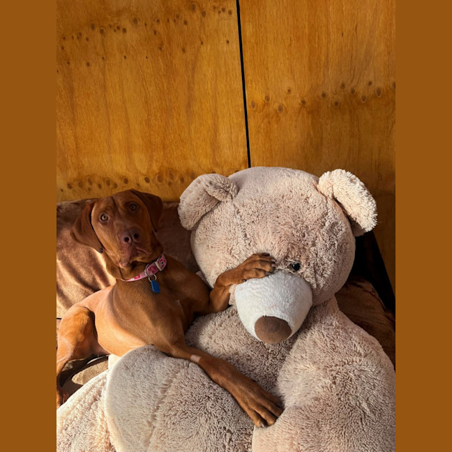 Photo of Cleo
