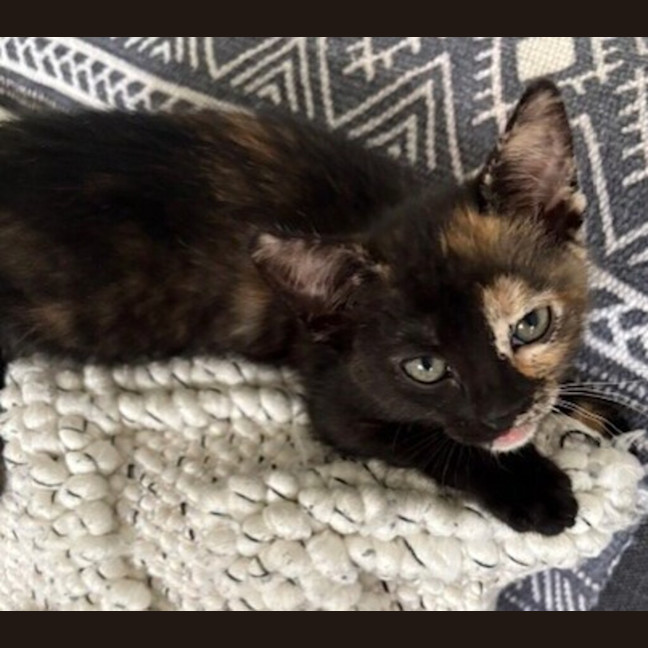 Photo of Winnie