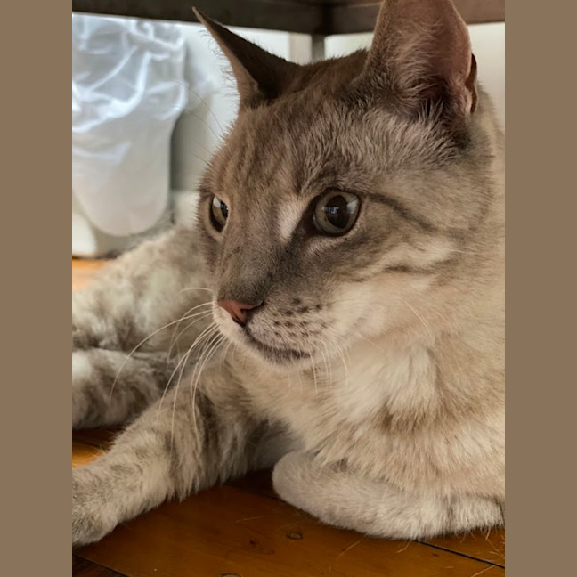 Photo of Dante
