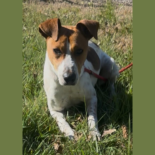 Photo of Roscoe