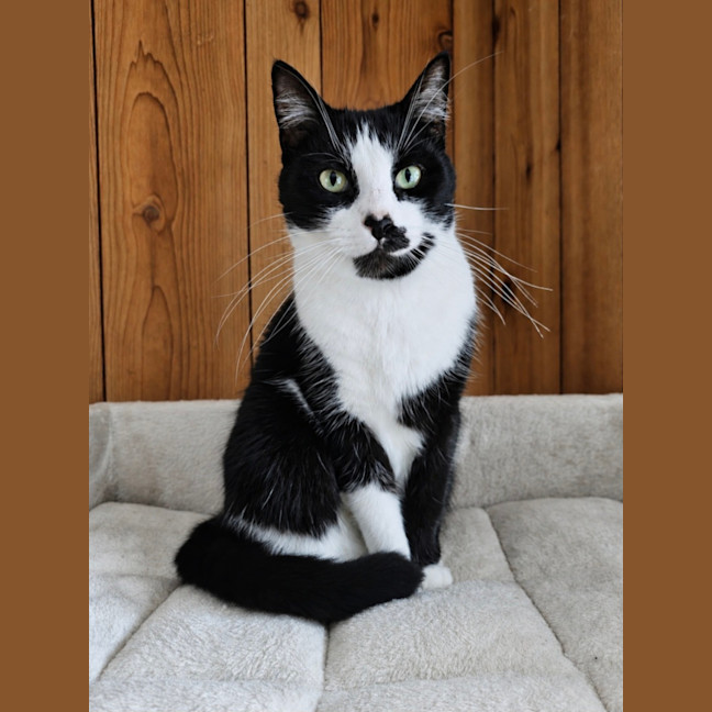 Photo of Theodore 