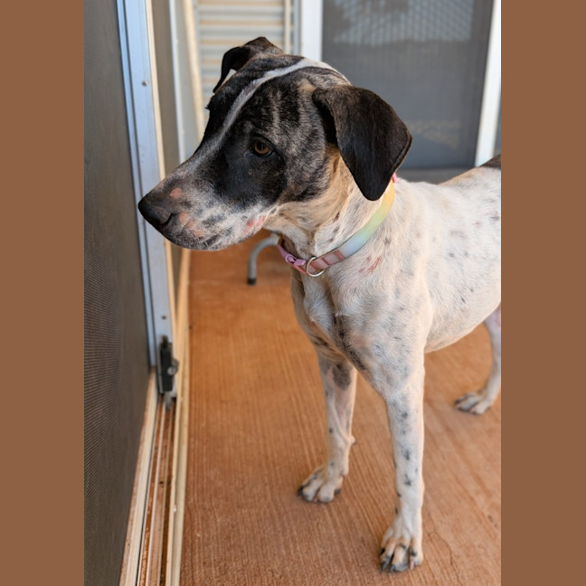 Photo of Dorothy