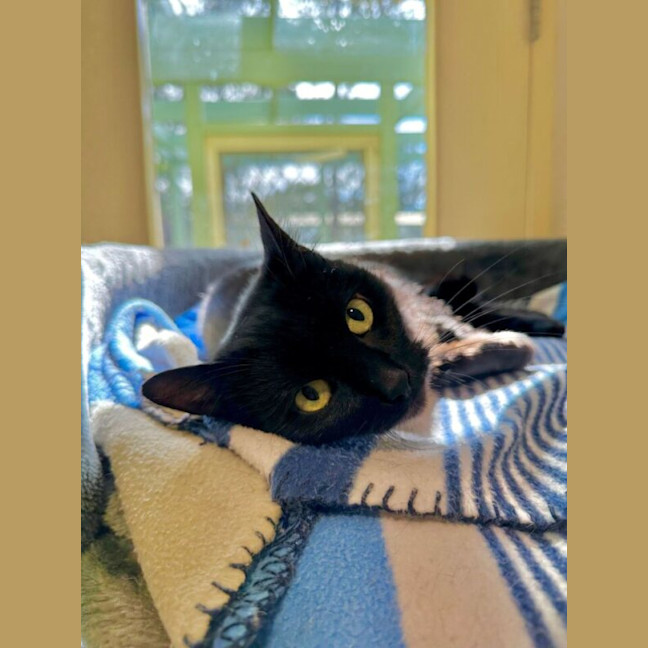Photo of Echo