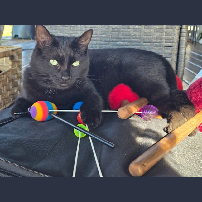 Photo of Emmy