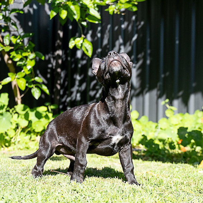 Photo of Riff
