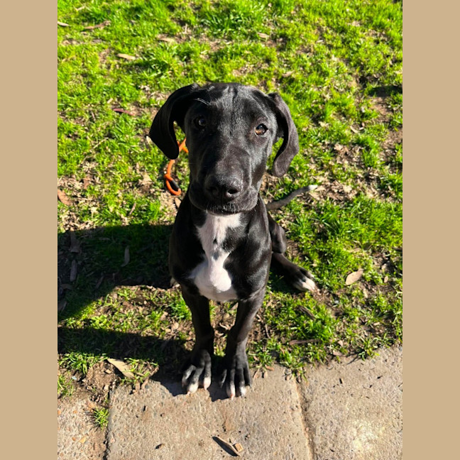 Photo of Zephyr