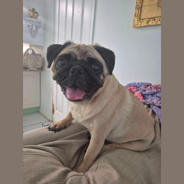 Photo of Stuey