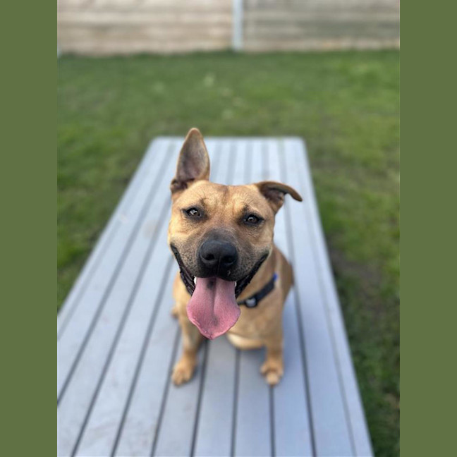 Photo of Ella