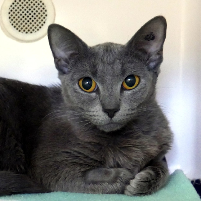 Photo of Tilly Sta013166