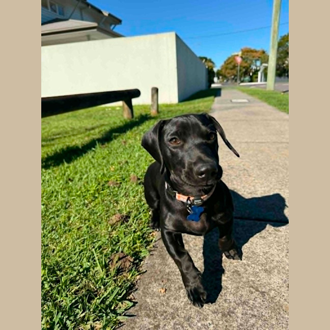 Photo of Maverick 