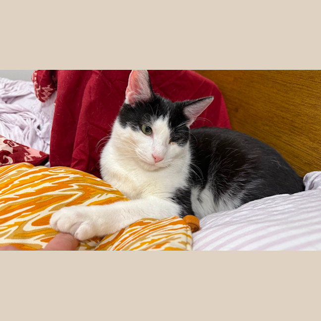 Photo of Reuben
