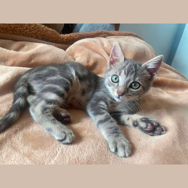 Photo of Storm