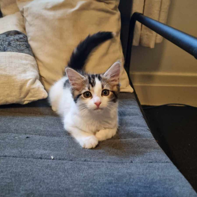 Photo of Nadja   Located In Coburg