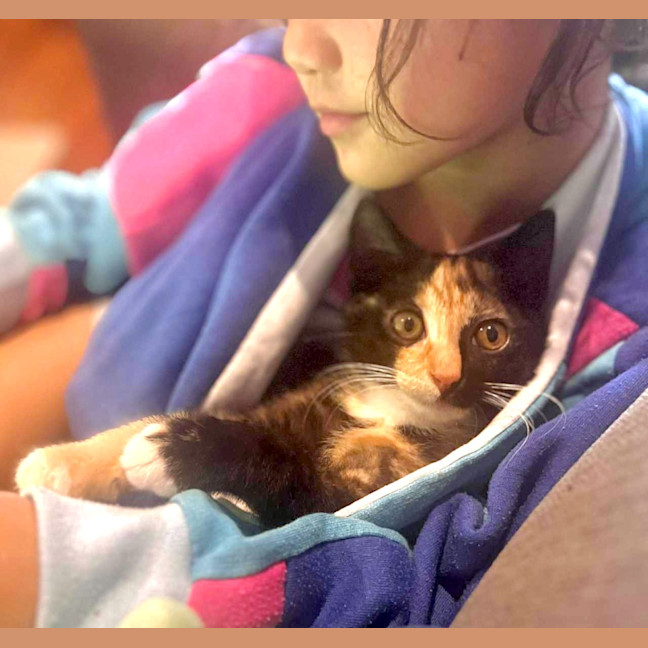 Photo of Clementine 🍊