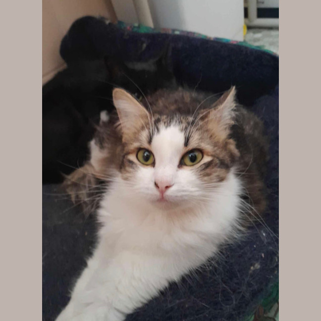 Photo of Drusilla And Spike