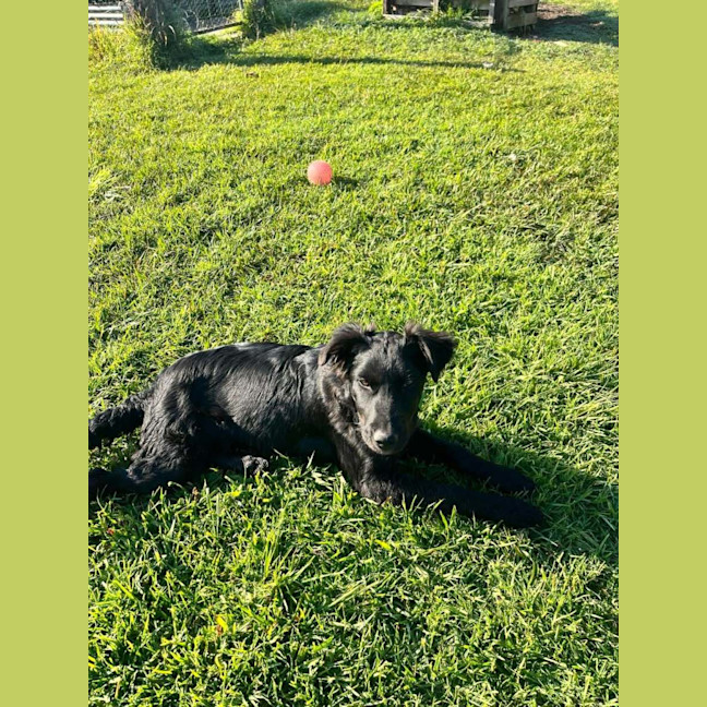 Photo of Benny