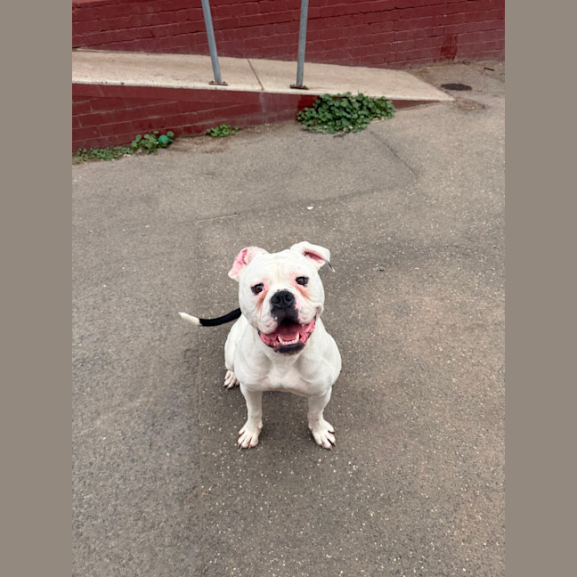 Photo of Billy