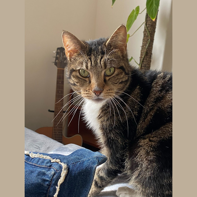 Photo of Marcie