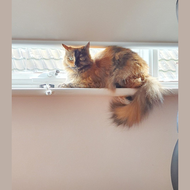 Photo of 🔮Pandora🔮