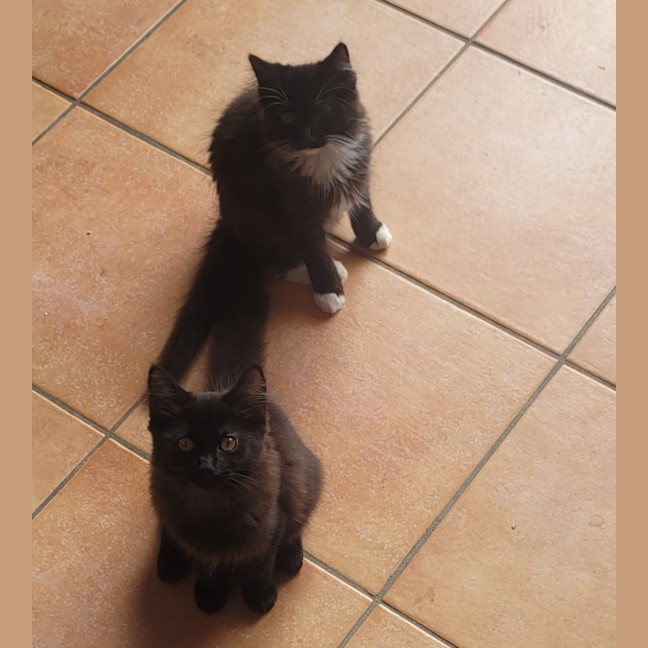 Photo of 💕 Joey Tribiani 💕