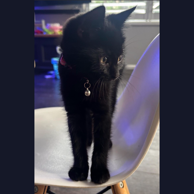 Photo of Luna