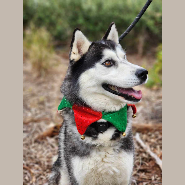 Photo of 🌪 Spiro 5596 🌪